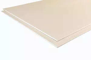 Rigips Feuerschutzplatte RF