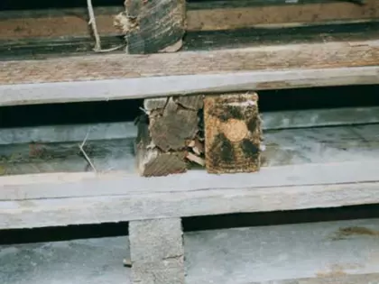 Palette Kantholz nebeneinander